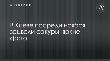 У Києві посеред листопада зацвіли сакури: яскраві фото