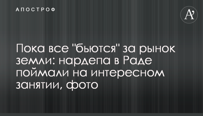 Пока все "бьются" за рынок земли: нардепа в Раде поймали на интересном занятии, фото