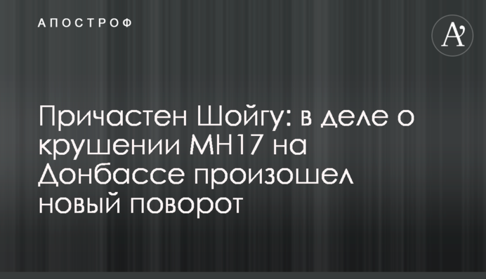 Причастен Шойгу: в деле о крушении МН17 на Донбассе произошел новый поворот