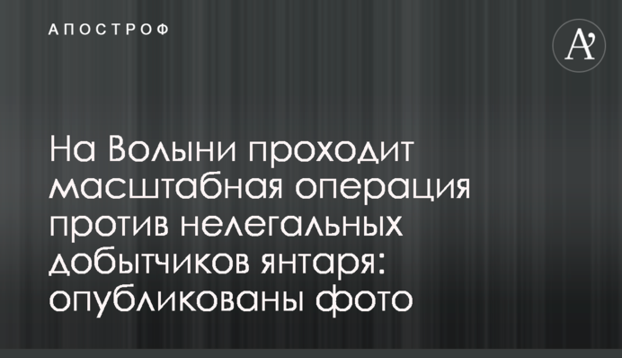 На Волыни проходит масштабная операция против нелегальных добытчиков янтаря: опубликованы фото