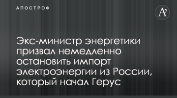 Экс-министр энергетики призвал немедленно остановить импорт электроэнергии из России, который начал Герус