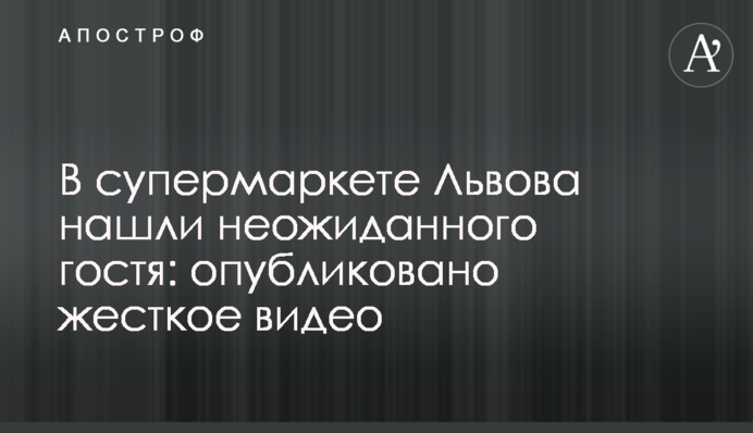 У супермаркеті Львова знайшли несподіваного гостя: опубліковано жорстке відео