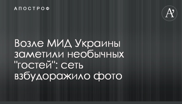 Возле МИД Украины заметили необычных 