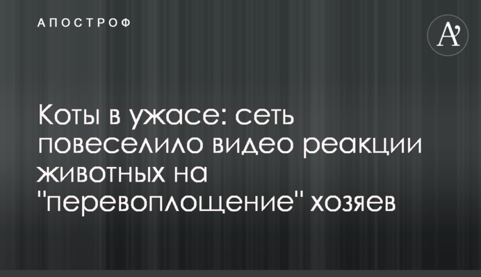 Коти в жаху: мережу повеселило відео реакції тварин на 