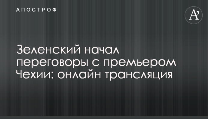 Развитие бизнеса и не только: о чем договорились Зеленский и Бабиш на встрече, видео