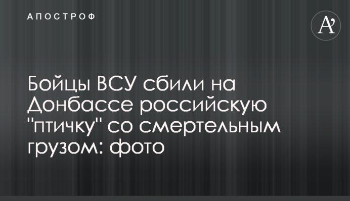 Бійці ЗСУ збили на Донбасі російську "пташку" зі смертельним вантажем: фото