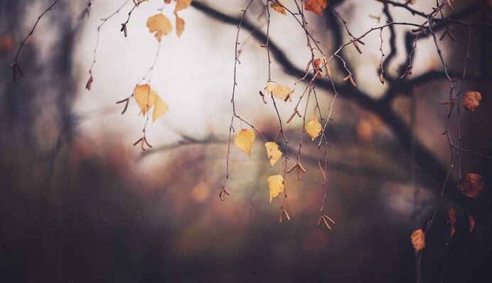 ​В Україну ще прийде потепління: синоптик назвала дату