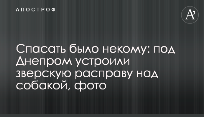 Рятувати було нікому: під Дніпром влаштували звірячу розправу над собакою, фото