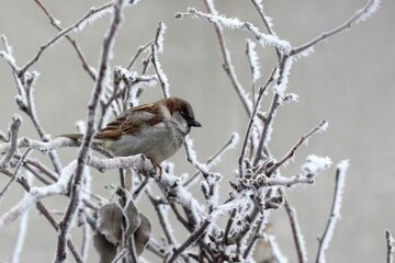 Робота агрохолдингу "Укрлендфармінг" під загрозою: Бахматюк назвав підозру НАБУ політичною
