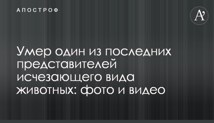 Помер один з останніх представників зникаючого виду тварин: фото і відео