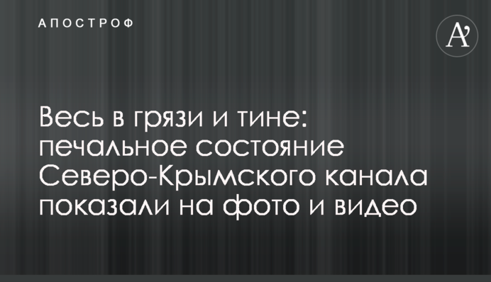 Весь в грязи и тине: печальное состояние Северо-Крымского канала показали на фото и видео