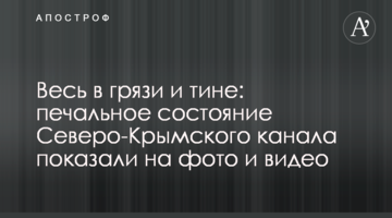 Весь в грязи и тине: печальное состояние Северо-Крымского канала показали на фото и видео