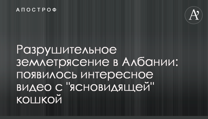 Руйнівний землетрус в Албанії: з'явилося цікаве відео з кішкою-