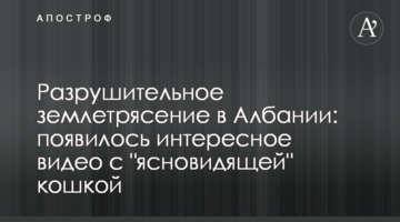 Разрушительное землетрясение в Албании: появилось интересное видео с "ясновидящей" кошкой