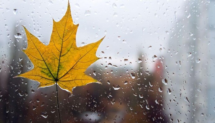 Часть Украины накроют дожди: синоптики уточнили прогноз на 28 ноября