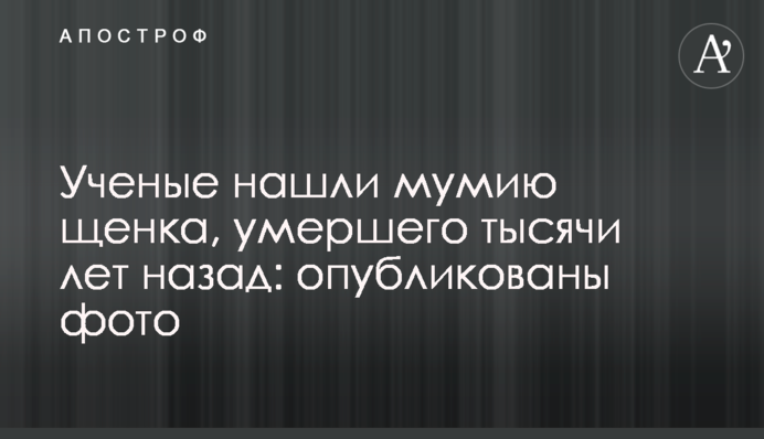 Ученые нашли мумию щенка, умершего тысячи лет назад: опубликованы фото