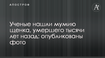Ученые нашли мумию щенка, умершего тысячи лет назад: опубликованы фото