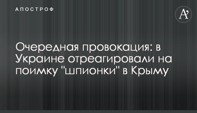 Очередная провокация: в Украине отреагировали на поимку 