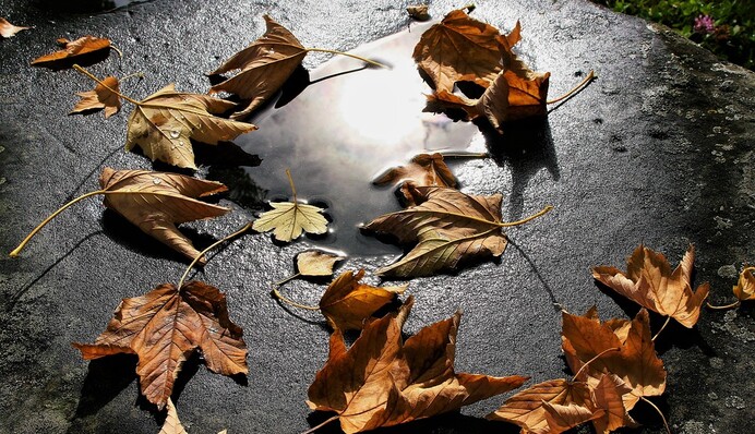 Осенний снег: синоптики дали прогноз на последний день ноября