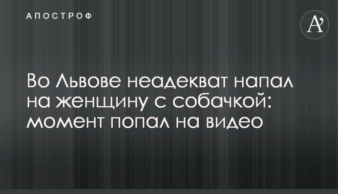 У Львові неадекват напав на жінку з собачкою: момент потрапив на відео
