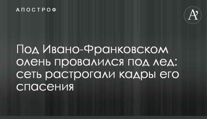 Під Івано-Франківськом олень провалився під лід: мережу зворушили кадри його порятунку