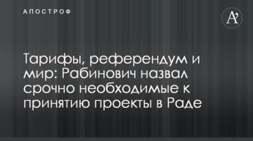 Тарифы, референдум и мир: Рабинович назвал срочно необходимые к принятию проекты в Раде