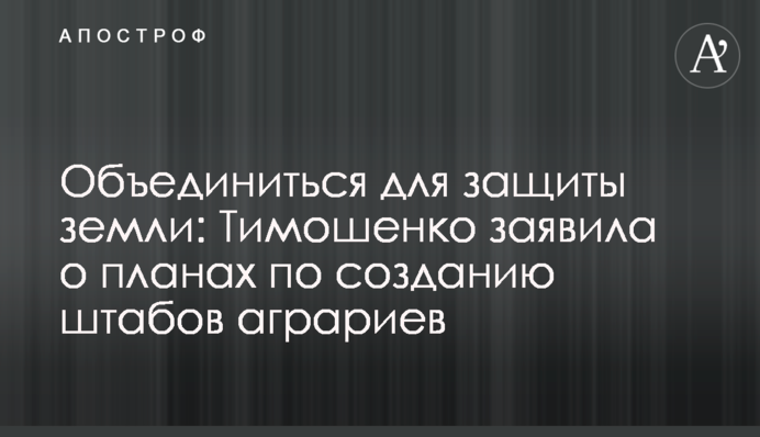 Объединиться для защиты земли: Тимошенко заявила о планах по созданию штабов аграриев