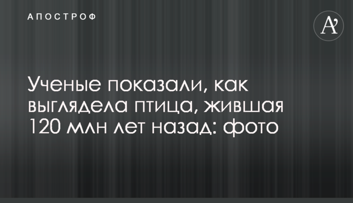 Ученые показали, как выглядела птица, жившая 120 млн лет назад: фото