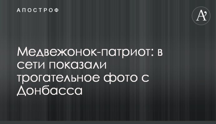 Ведмедик-патріот: в мережі показали зворушливе фото з Донбасу