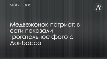 Ведмедик-патріот: в мережі показали зворушливе фото з Донбасу