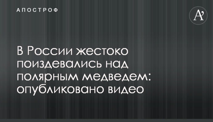 В России жестоко поиздевались над полярным медведем: опубликовано видео