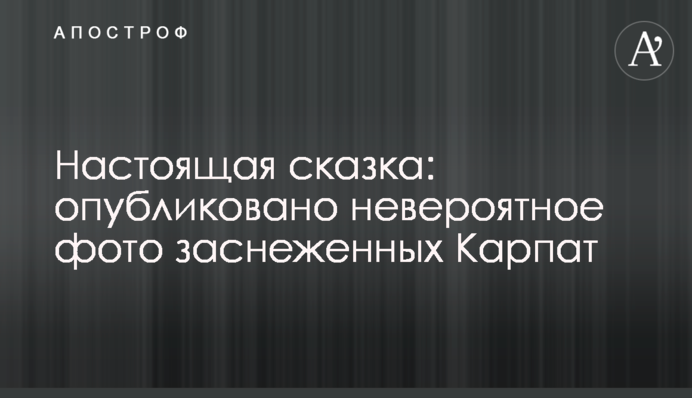 Настоящая сказка: опубликовано невероятное фото заснеженных Карпат