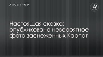 Настоящая сказка: опубликовано невероятное фото заснеженных Карпат