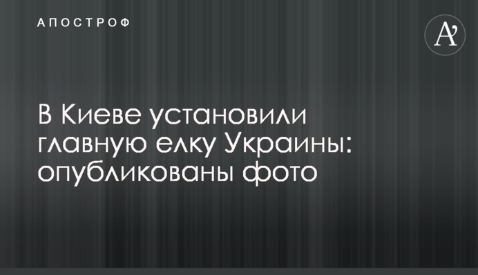 В Киеве установили главную елку Украины: опубликованы фото