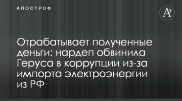 Отрабатывает полученные деньги: нардеп обвинила Геруса в коррупции из-за импорта электроэнергии из РФ