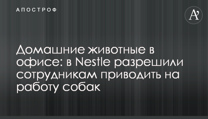 Домашні тварини в офісі: в Nestle дозволили співробітникам приводити на роботу собак