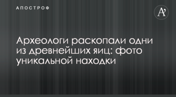 Археологи розкопали одні з найдавніших яєць: фото унікальної знахідки