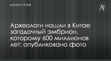 Археологи знайшли в Китаї загадковий ембріон, якому 600 мільйонів років: опубліковано фото