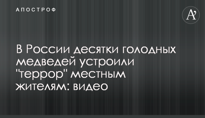 В России десятки голодных медведей устроили 