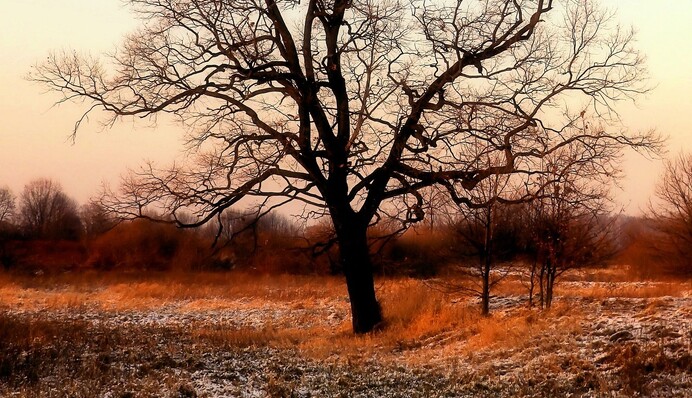 Сніжитиме у трьох областях: синоптики дали детальний прогноз на 10 грудня