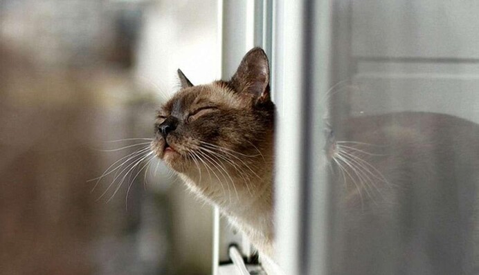 Шансов не было: в Киеве произошло смертельное ЧП с подростком, фото