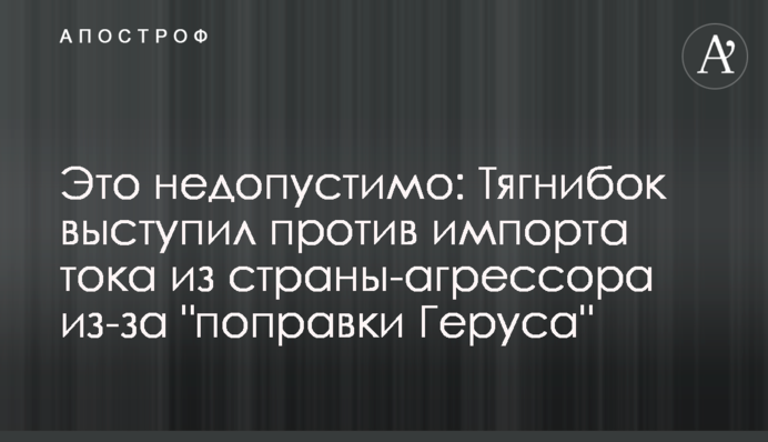 Це неприпустимо: Тягнибок виступив проти імпорту струму з країни-агресора через 