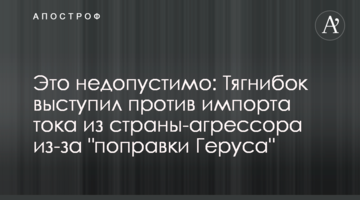 Це неприпустимо: Тягнибок виступив проти імпорту струму з країни-агресора через "поправку Геруса"
