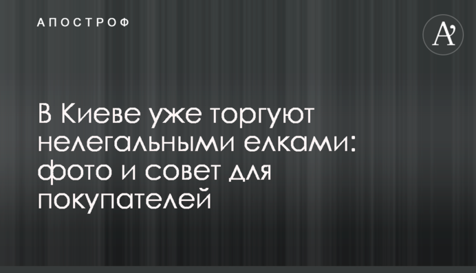 У Києві вже торгують нелегальними ялинками: фото і порада для покупців