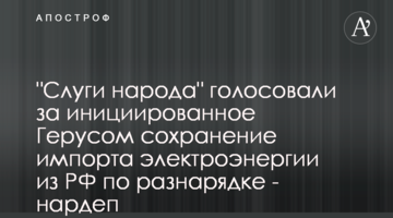 "Слуги народу" голосували за ініційоване Герусом збереження імпорту електроенергії з РФ за рознарядкою - нардеп