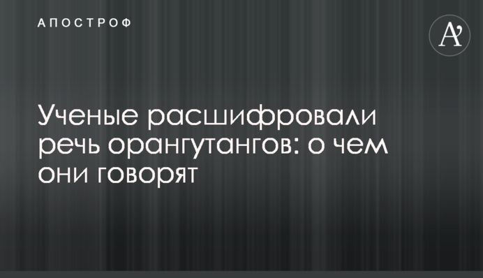 Ученые расшифровали речь орангутангов: о чем они говорят