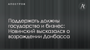 Поддержать должны государство и бизнес: Новинский высказался о возрождении Донбасса