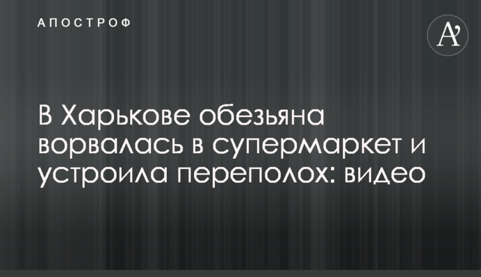 У Харкові мавпа увірвалася в супермаркет і влаштувала переполох: відео