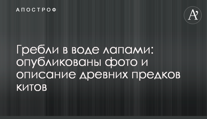Гребли в воде лапами: опубликованы фото и описание древних предков китов
