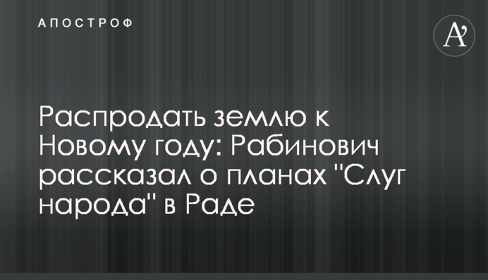 Распродать землю к Новому году: Рабинович рассказал о планах 